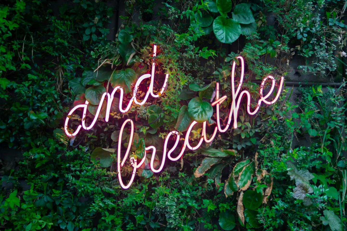 Self-Love Guided Meditation Audio - Heal Your Heart, Practice Self-Love, Meditation for Self-love & Self-care, Recording, Audio